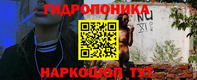 мет Кимры