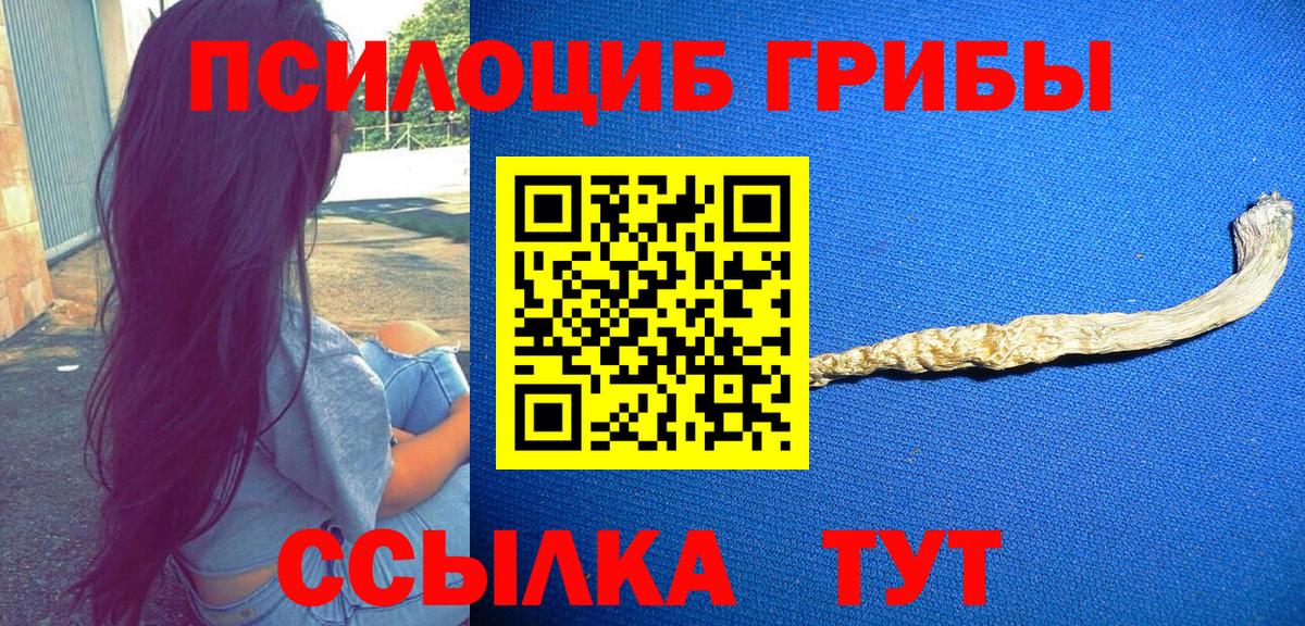 Галлюциногенные грибы Psilocybine cubensis Киров